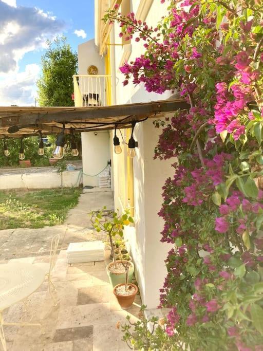 La Suite De La Maison Jaune มงต์เปอลิเยร์ ภายนอก รูปภาพ